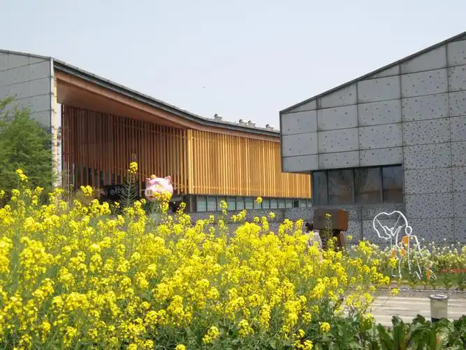 正值四月艳阳天,阳山"田园东方"度假村里桃花,油菜花,蚕豆花竞相开放.