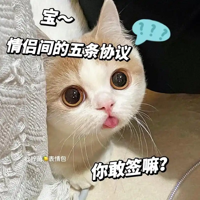 艾特对象,看他敢签嘛#猫咪表情包 #发给对象表情包 #艾特你 - 抖音