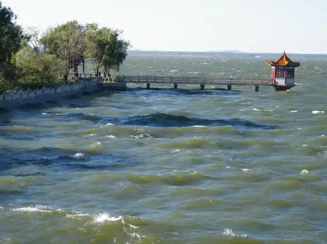 "/item/山东/155740" data-lemmaid="155740">山东 /a>青岛莱西市境内