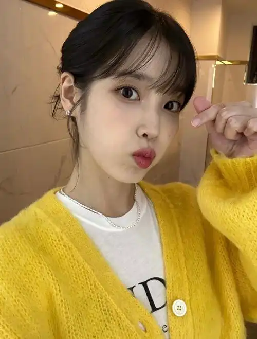 iu李知恩全能艺人