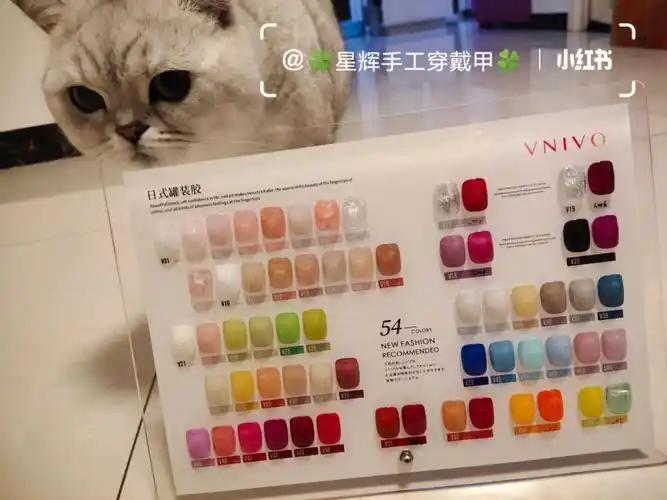 穿戴甲  #美甲色板有没有仙女们喜欢的颜色