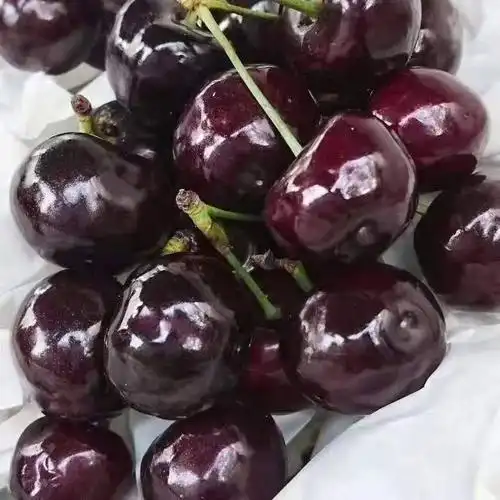 黑珍珠樱桃  汉源县车厘子大樱桃黑珍珠车厘子