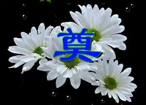 无言痛悼慈母诗选(六首)陕西宝鸡_世间风情_都市头条