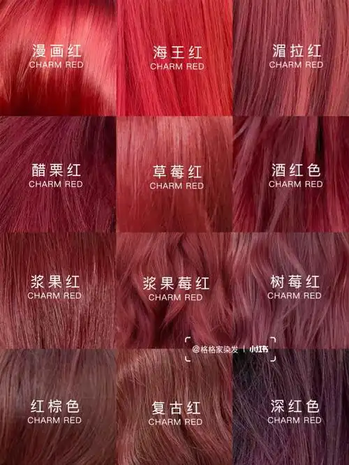 优雅红色系发色78不漂染掉色还好看