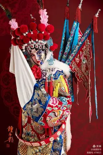 所以各大戏种就演钟无艳的脸谱画成一白一黑,全国各大戏种都有此全本