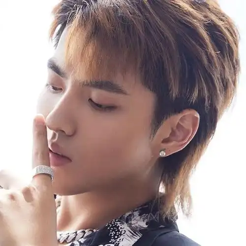 吴亦凡同款耳钉男女情侣s925纯银防过敏镶钻六爪单钻嘻哈简约耳环