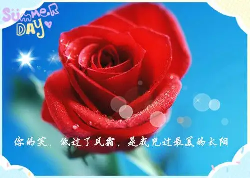 浪漫红玫瑰爱情文字图片_给你最幸福的爱情_唯美图片_精品库