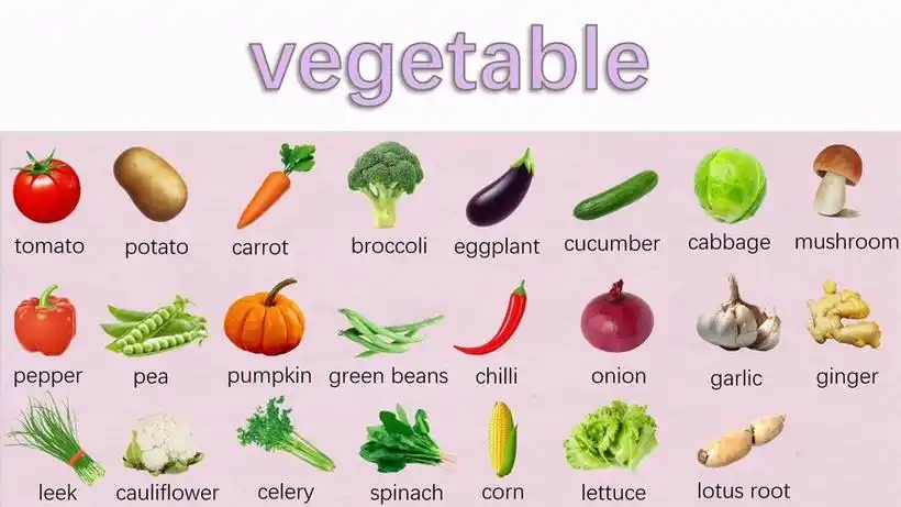 香菜苗英语怎么说?(视频合集11个)-三看网