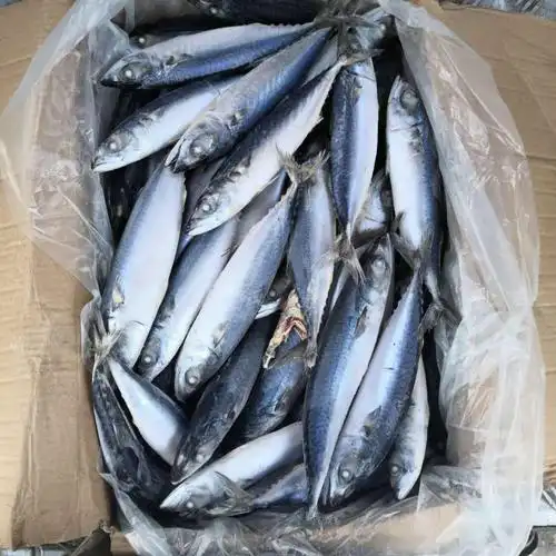 顺丰家庭版鲐鲅鱼青条鱼青占鱼3斤5斤10斤起发家