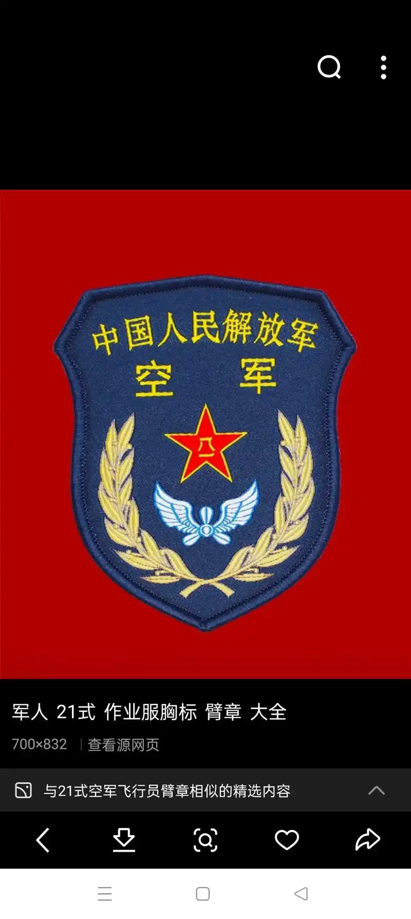 中国空军试飞大队臂章很有特色550977查看源网页与新式空军臂章图片