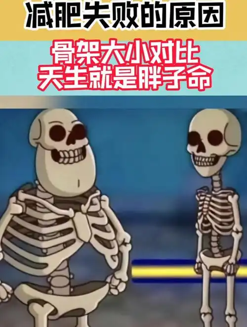 减肥失败的原因,骨架大小对比,天生就是胖子命