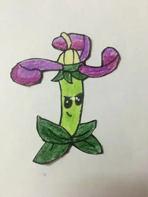 植物大战僵尸2绘画