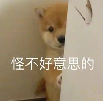 不好意思拿错了表情包 - 不好意思拿错了微信表情包 - 不好意思拿错了