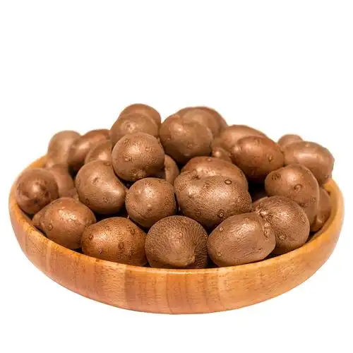 河南焦作温县铁棍山药豆淮山药蛋子5斤特大号新鲜山药果子零余子