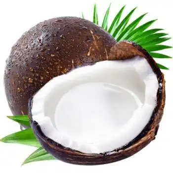 海南椰皇新鲜老椰子黑椰子煲汤新鲜水果椰子5个装