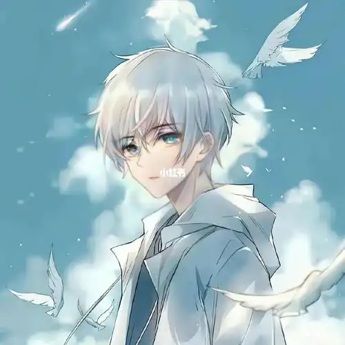 白色系飞鸟与少年动漫男生头像