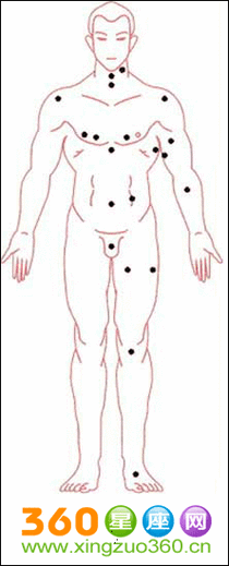 全身痣相图解