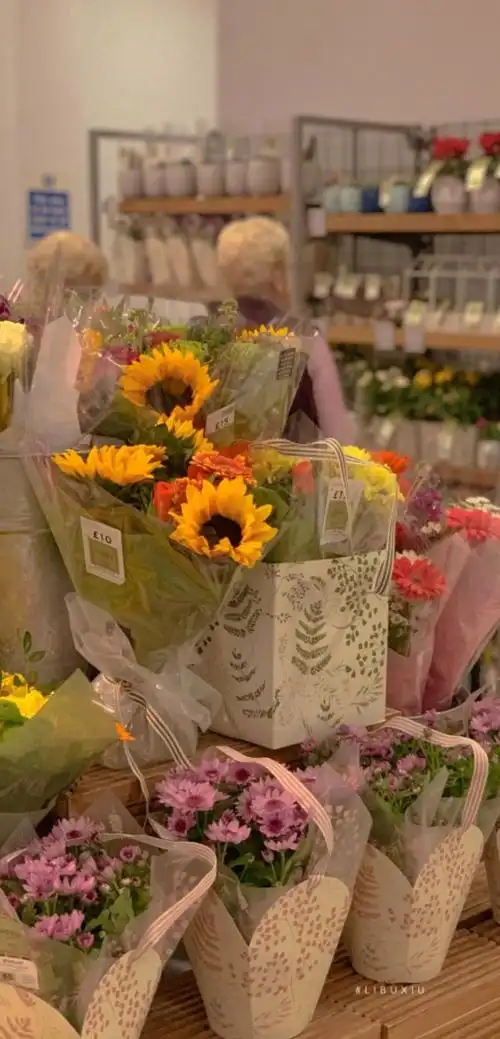 抖音最火壁纸图片-抖音最火壁纸背景高清合集2020-燕鹿手游网