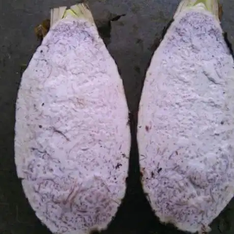 爱逛街为您找到广西荔浦芋头相关的宝贝,您可以在下面的板块中挑选