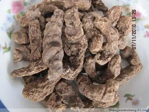 中草药-重楼图片(一)ppt