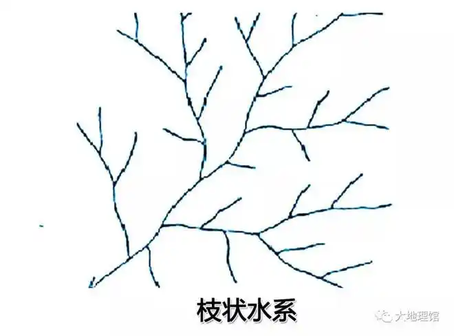 为代表水系的形状让人想到叶脉的类型分别对应扇形,羽状,枝状水系▼