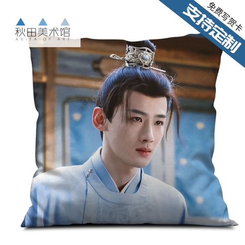 卿卿日常电视剧白敬亭古装周边同款抱枕沙发客厅靠枕靠垫套定制