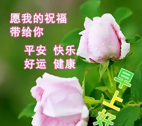清晨温馨祝愿早上好祝福心语祝福图片