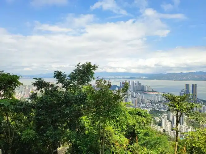 深圳南山公园景色