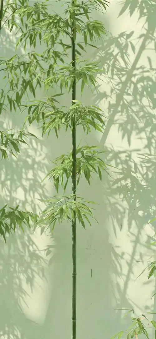 壁纸 | 高质量iphone壁纸