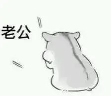 仓鼠表情包 老公