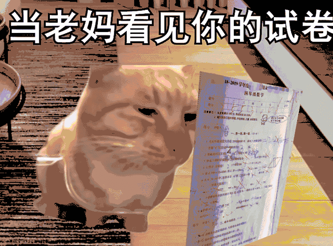占据互联网大半的猫梗,永远是人们生活的调味剂