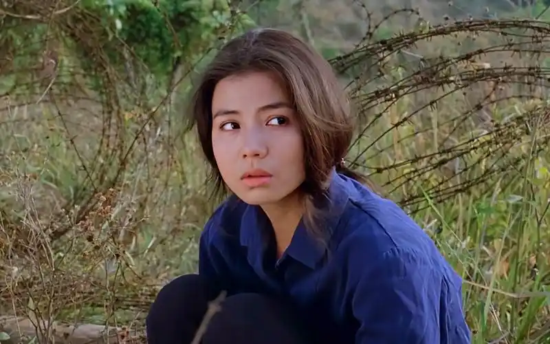 钟楚红当年有多美?先甩成龙又拒林子祥,如今年过花甲却孤身一人