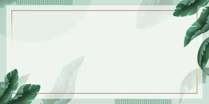 清新ins风绿植绿色清新背景