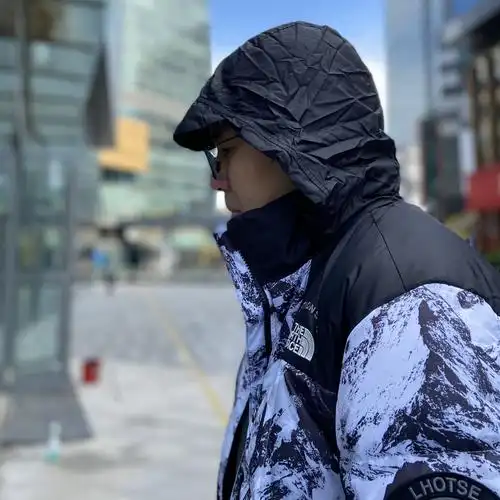 北面thenorthface限量鹅绒立领保暖拼色雪山运动羽绒服