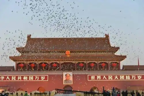 新年第一场升旗,"向国旗——敬礼!"_五星红旗