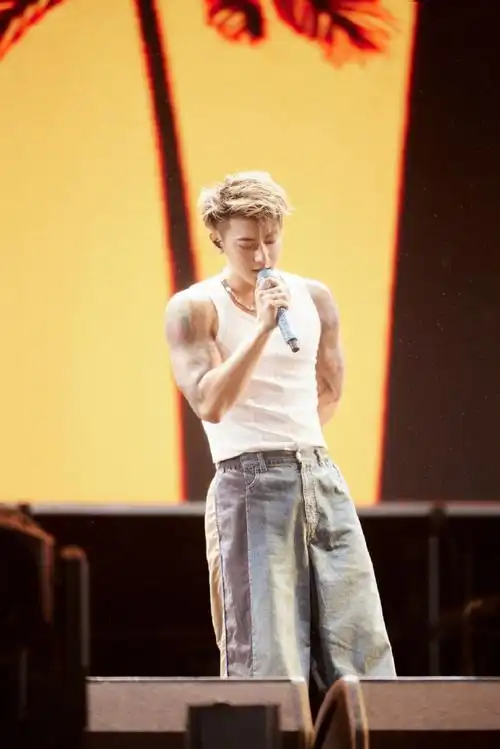 黄子韬湖州音乐节##黄子韬说演唱会见