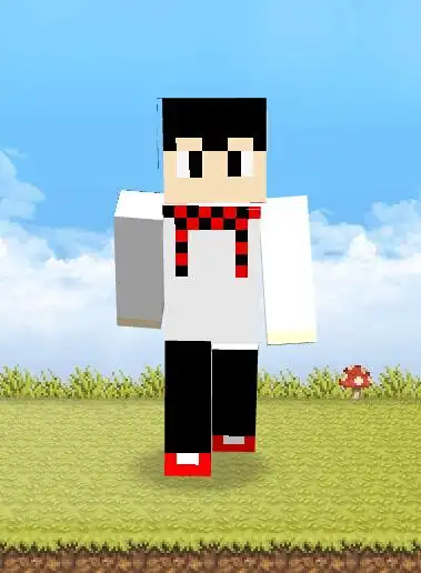 我的世界皮肤展开呢