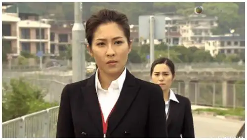 盘点陈敏之三部角色同类型的电视剧人物跌宕起伏结局圆满收尾