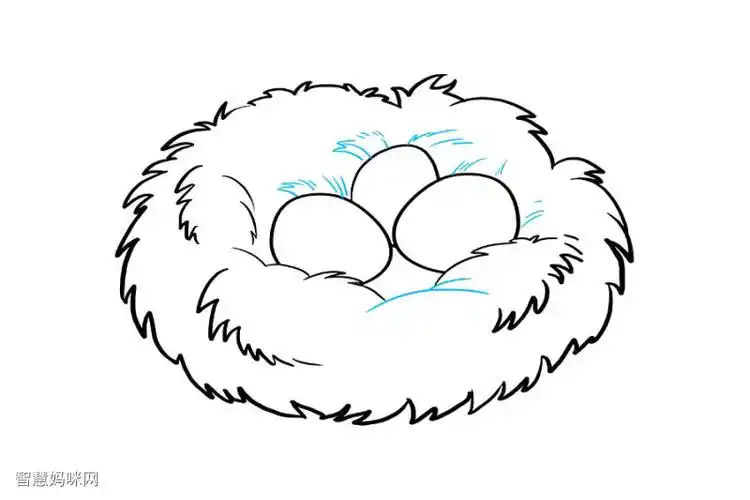如何画鸟巢