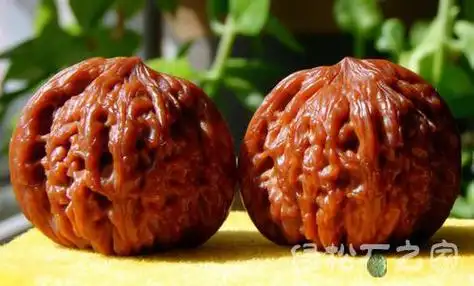 麻核桃和铁核桃的区别在哪里