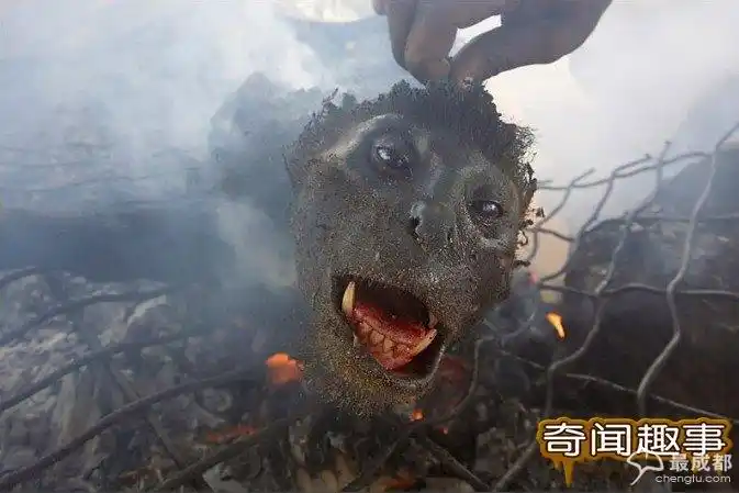非洲黑人的身体太好了!原来是经常吃人肉啊!(血腥慎入!