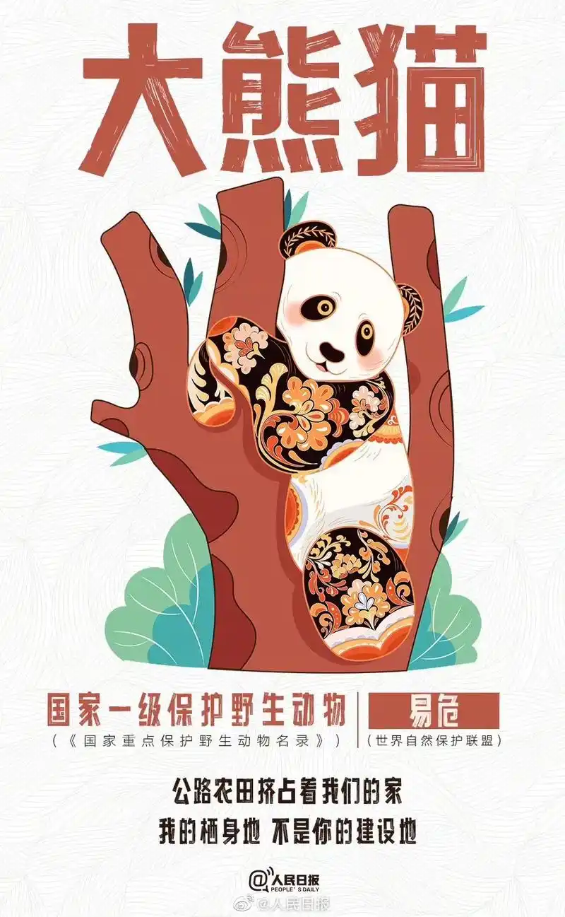 今天是#国际珍稀动物保护日#,请为它们发发声,环境恶化,栖息 - 抖音