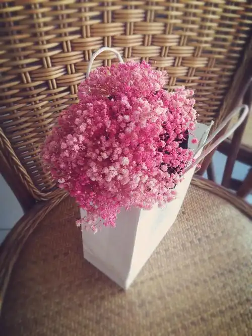 送给自己的满天星,无需浇水,花期3年