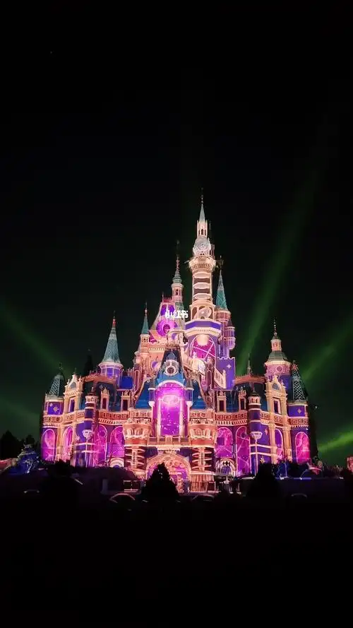上海迪士尼城堡灯光秀5min节选