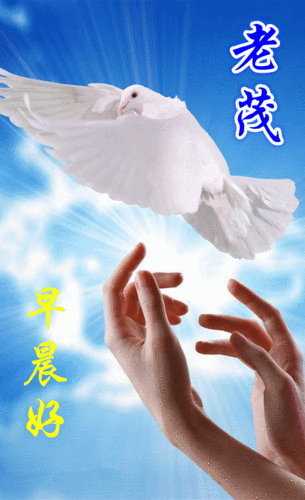 600_983竖版 竖屏gif 动态图 动图