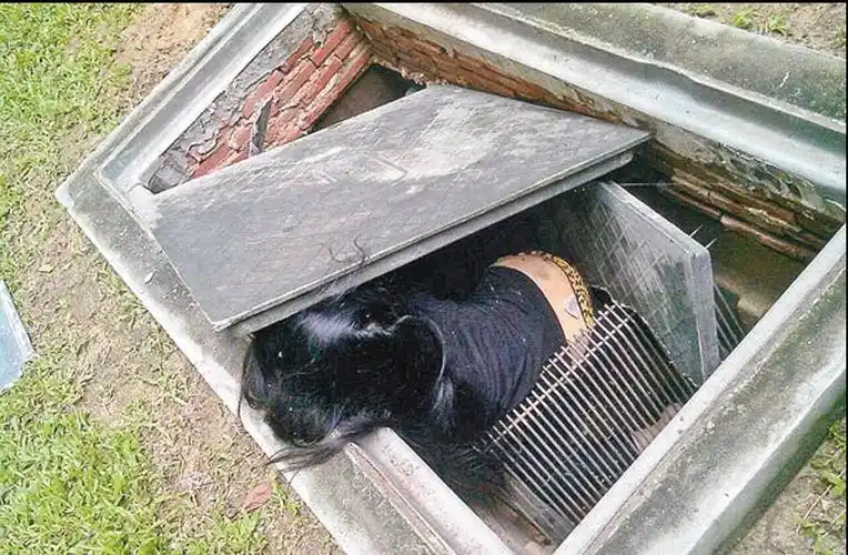 7·30中国女留学生死于泰国下水道案件