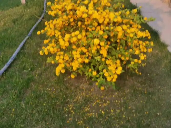 "天问一号"探测器成功发射