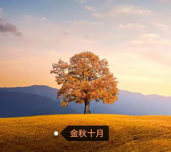 金秋,收获的十月