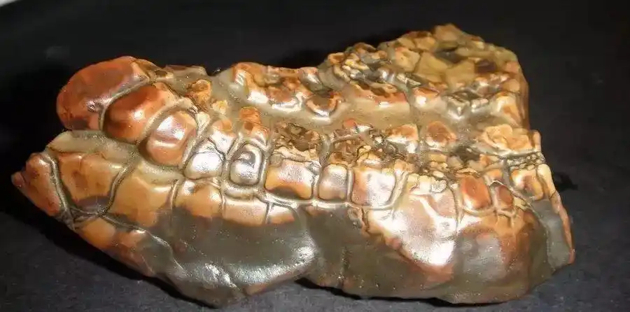 在新疆捡到这样的石头一定要带回来以前没人要现在越来越金贵