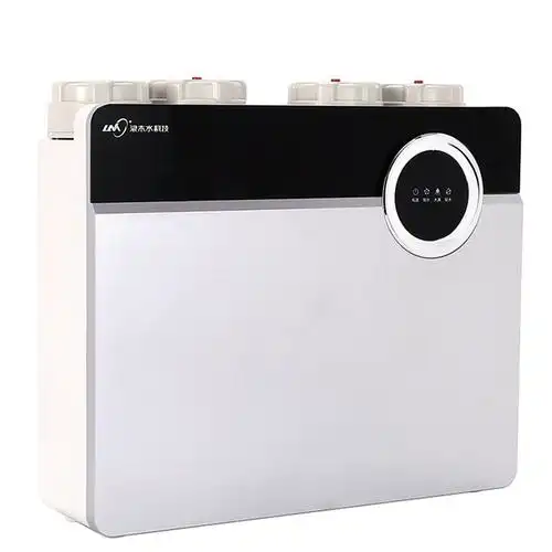 浪木lmro50e7s水处理设备纯水机五级精滤净纯双水